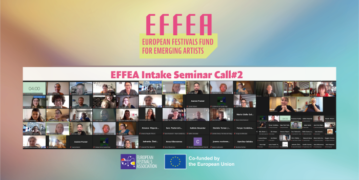 EFFEA Call#2 Intake