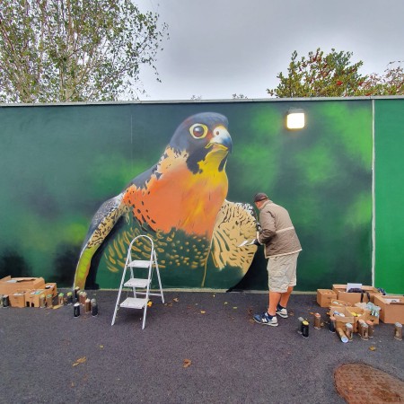 Waterford Walls International Street Art Festival